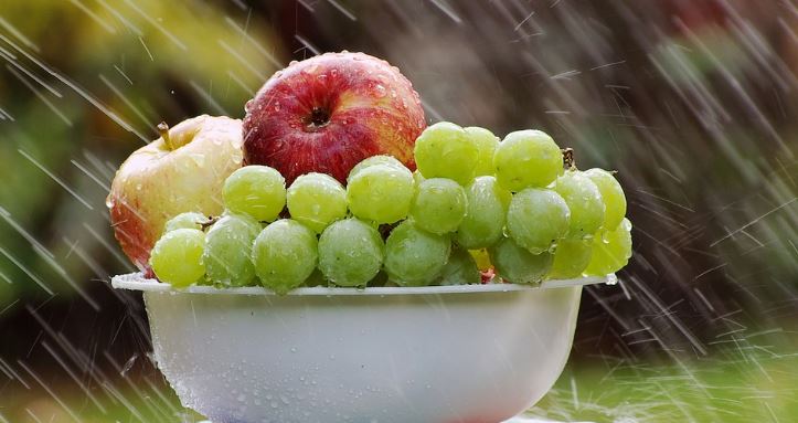 Agua en frutos y plantas supervivencia