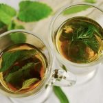 las 10 principales plantas medicinales
