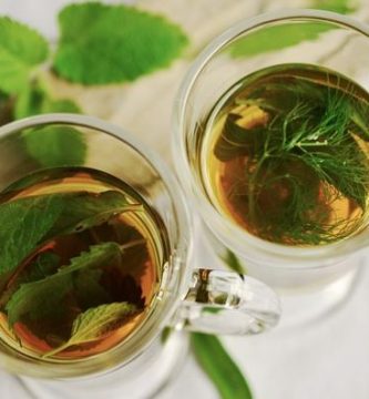 las 10 principales plantas medicinales